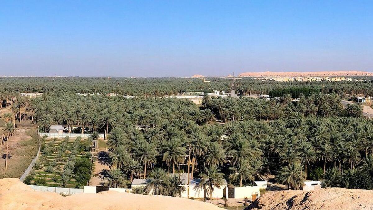 Al-Ahsa boasts more than two million palm trees