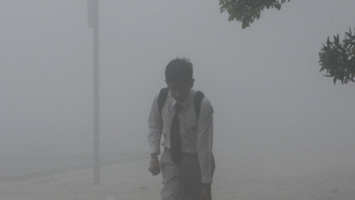 Fog causes chaos