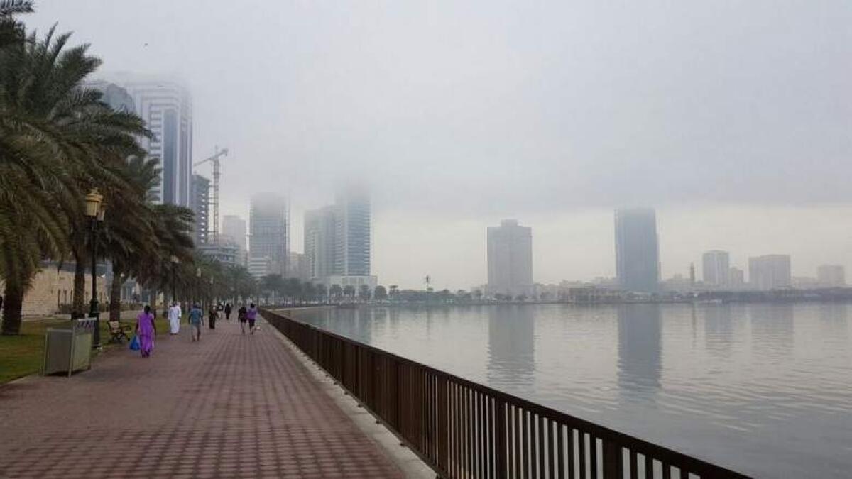 Thick fog engulfs parts of UAE
