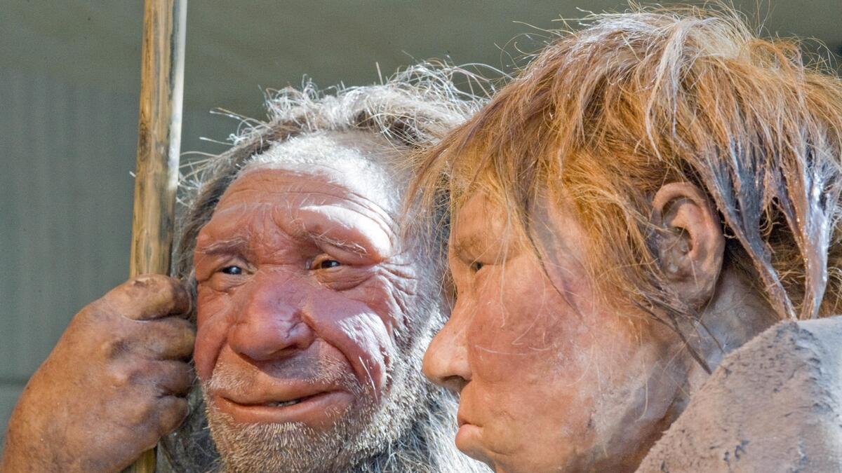 Neanderthal, Covid-19, Berlin, genes, study