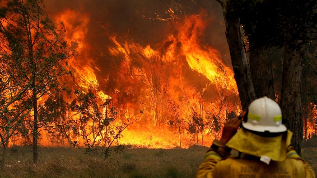 The Euroa fire was declared under control after it scorched 385 hectares of land. (AAP Image/Shane Chalker/via Reuters)