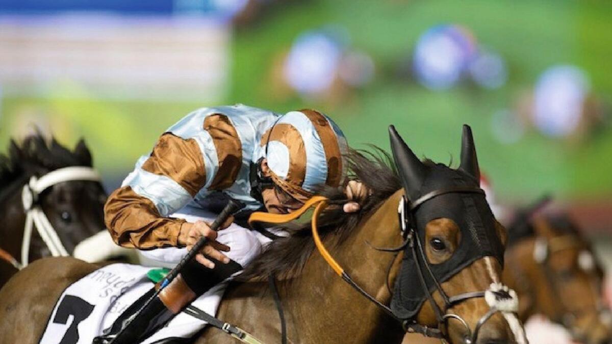 Of a certain vintage: Caspian Prince won a handicap during the Dubai World Cup Carnival in 2015. — ERA