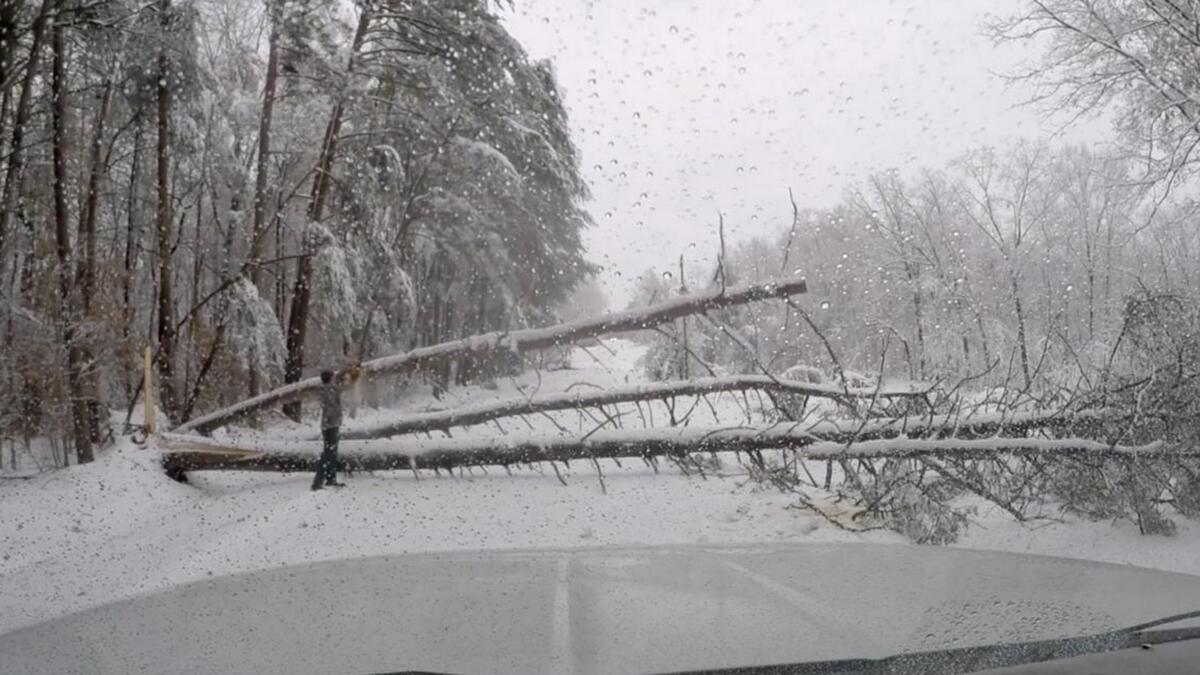 Winter storm kills one, knocks out power to 310,000 in US