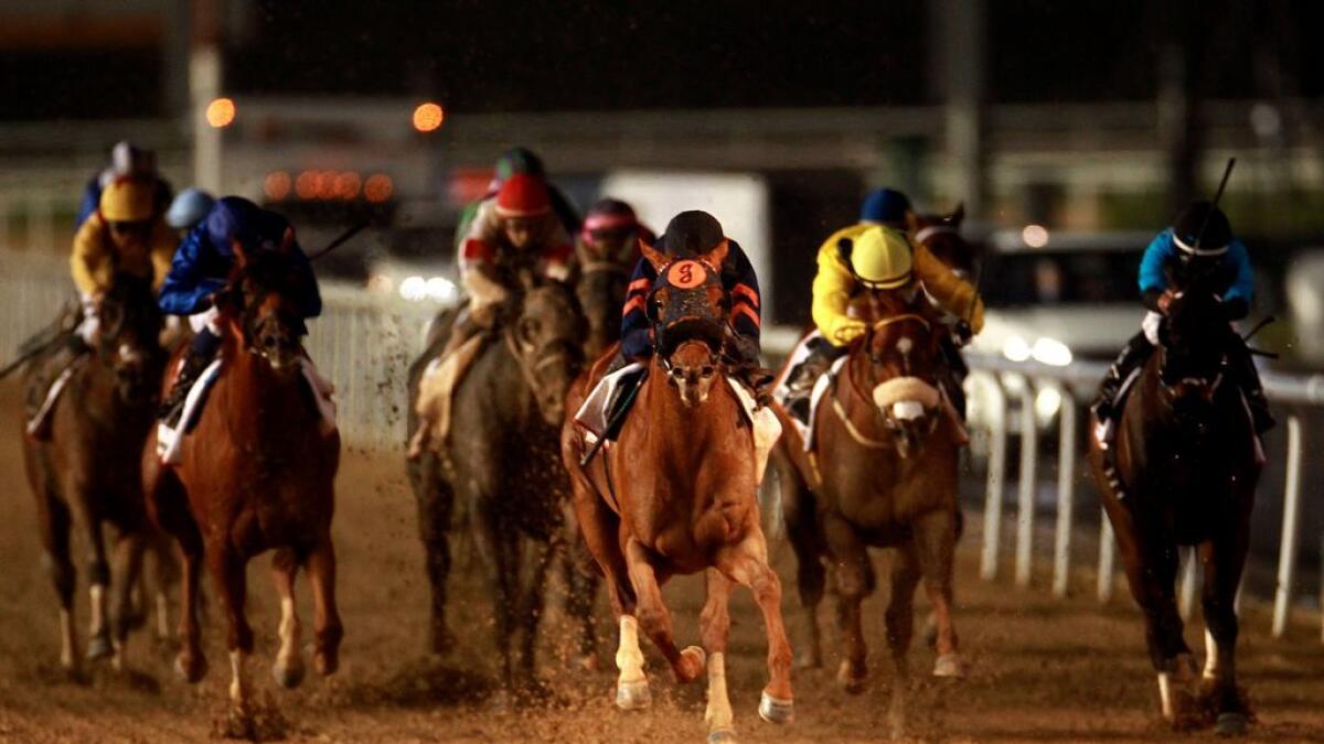 Dubai World Cup: Mind Your Biscuits hits payday in Golden Shaheen