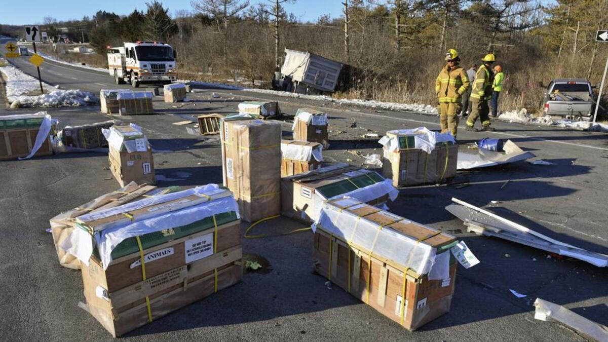 Crates holding live monkeys are scattered across the westbound lanes of state Route 54 at the junction with Interstate 80 near Danville, Pennsylvania. — AP