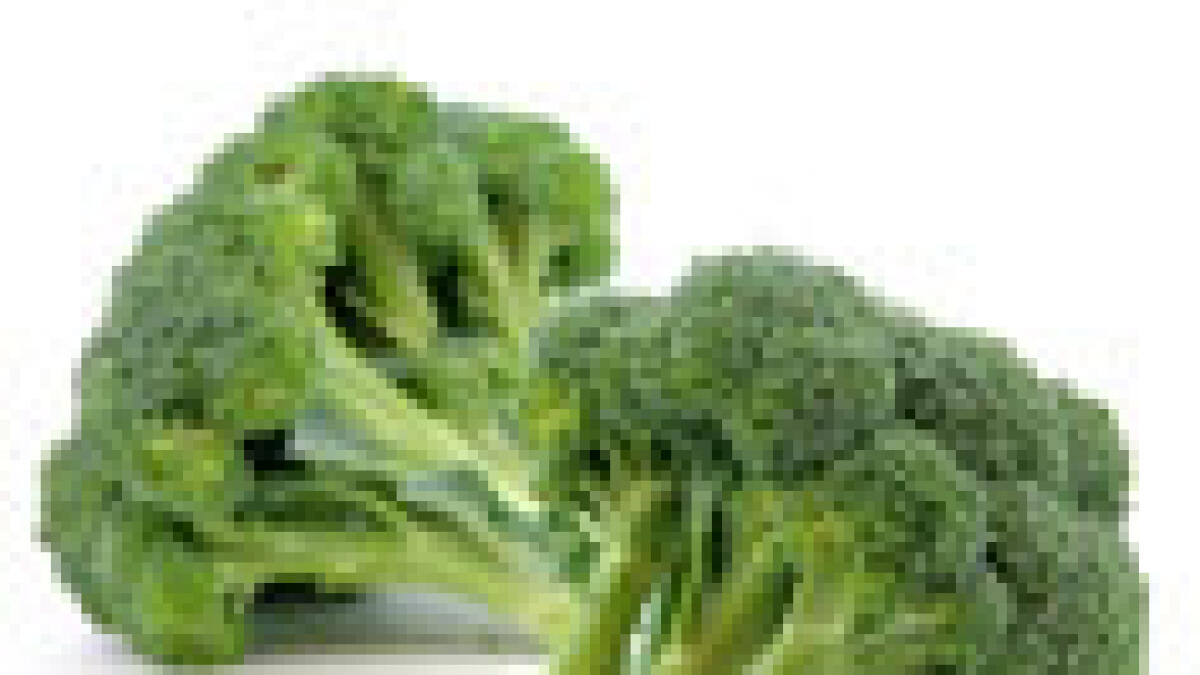 Broccoli may help treat breast cancer