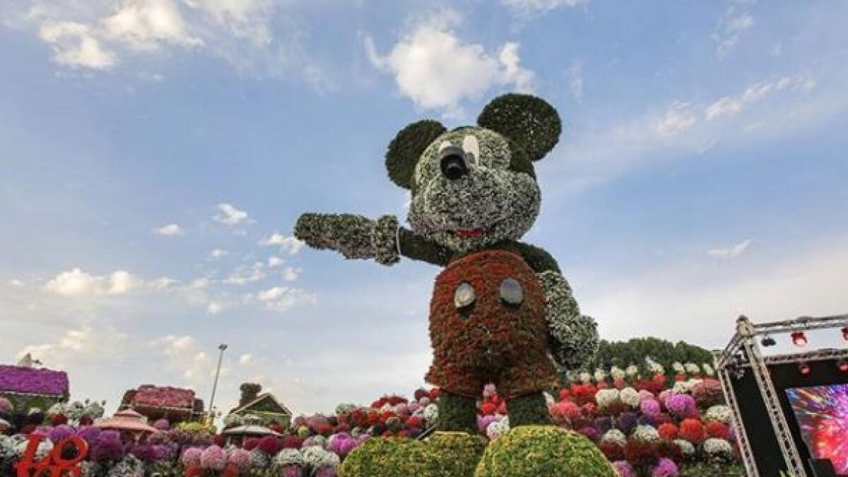 The worlds tallest Mickey Mouse floral structure was unveiled at the Dubai Miracle Garden to mark the 90th anniversary of Mickey Mouse.-Neeraj Murali/ Khaleej Times