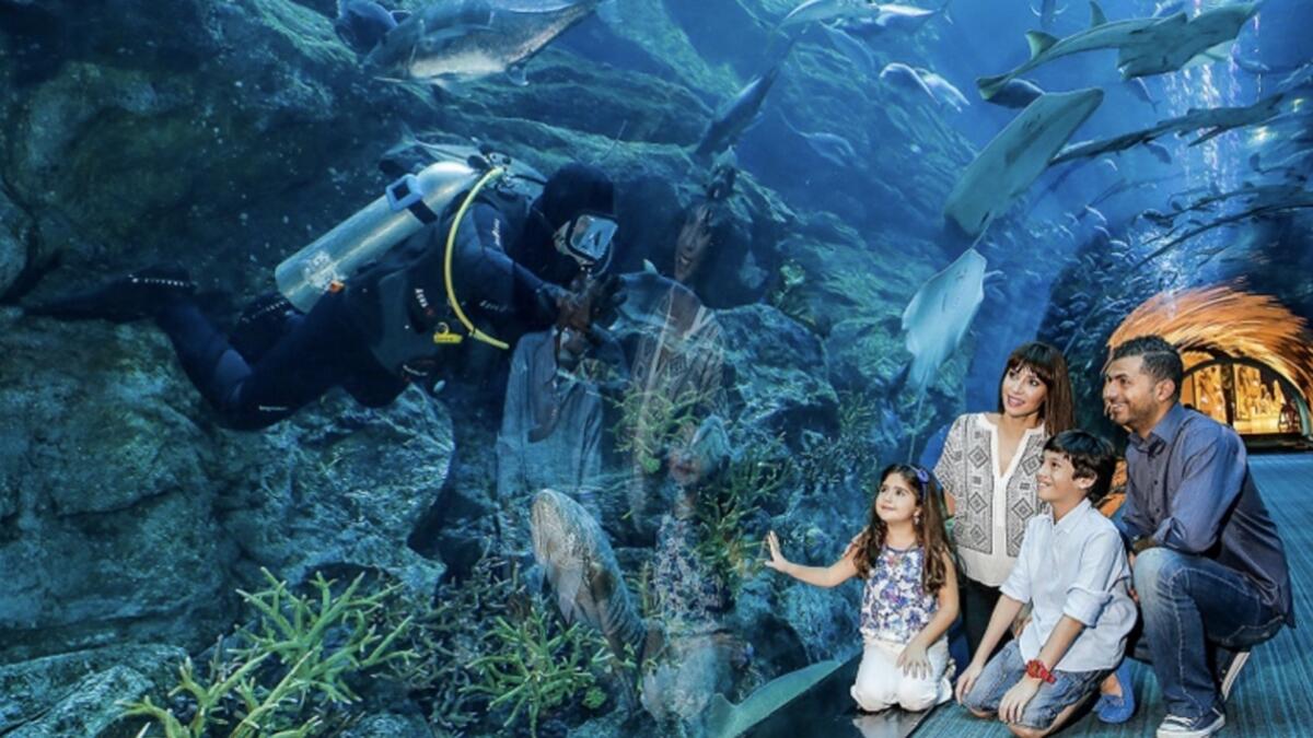 Dubai Aquarium and Underwater Zoo voted best in the world 