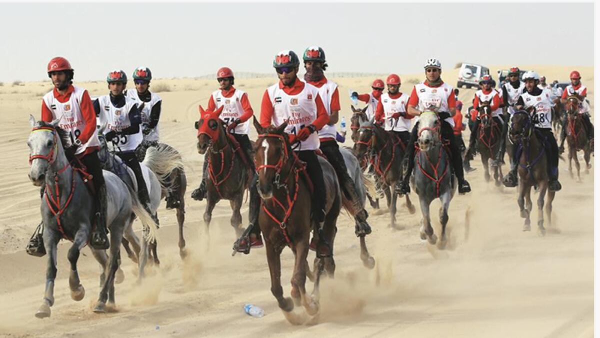 The CEN-90-km Dubai Crown Prince Ride for Ladies race saw 114 female riders vie for title supremacy. 