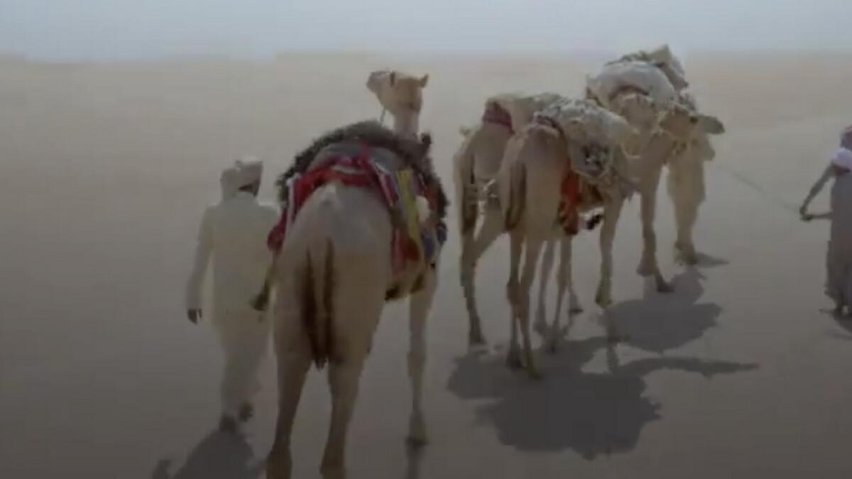 new tv show, uae, showcase, history, history of the emirates