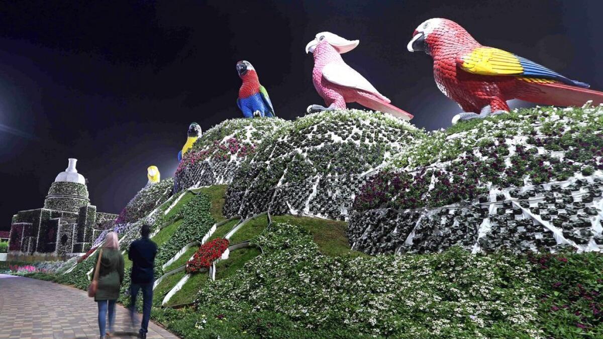 Parrots made up of flowers at the Miracle garden in Dubai.- Photo by Dhes Handumon/ Khaleej Times