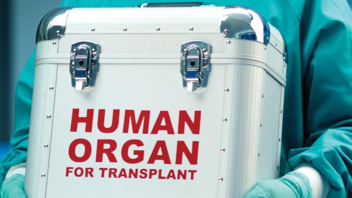 Doctors, public welcome new organ donation law