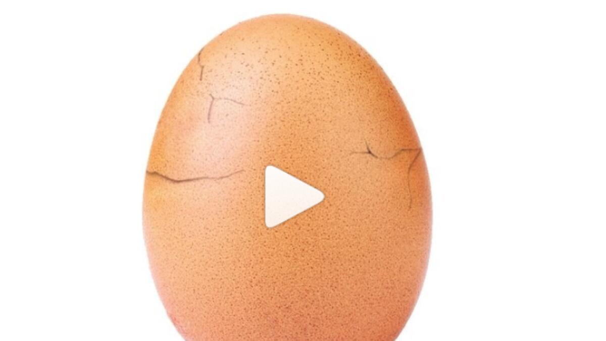 Video: Record-breaking egg cracks open