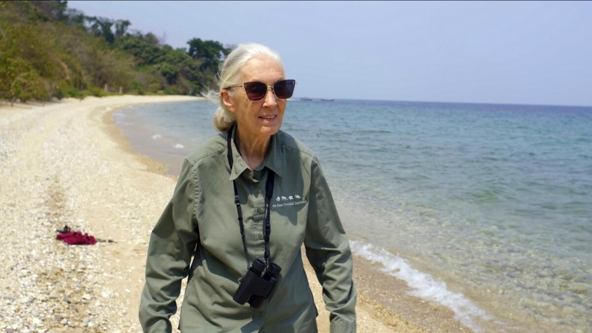 Earth Day 2020, coronavirus, Jane Goodall, National Geographic