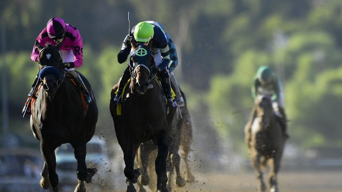 Breeders Cup: Storm the Court sprints to glory