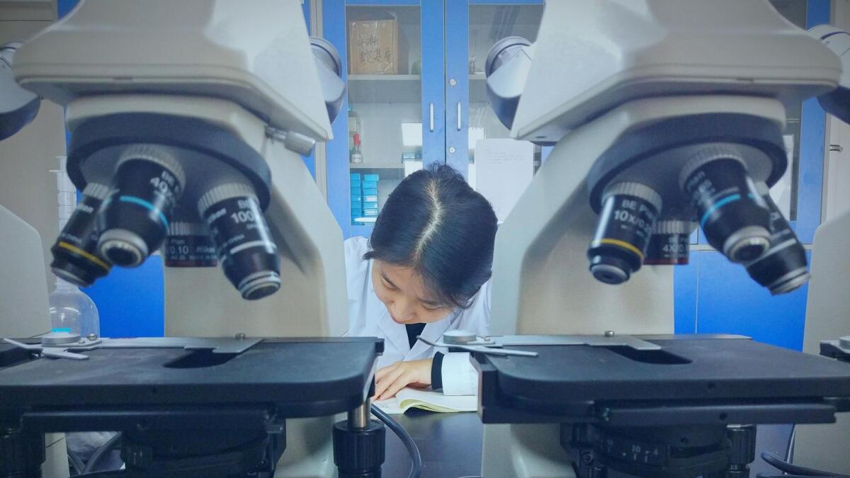 A scientist working In a laboratory. Photo: Alamy