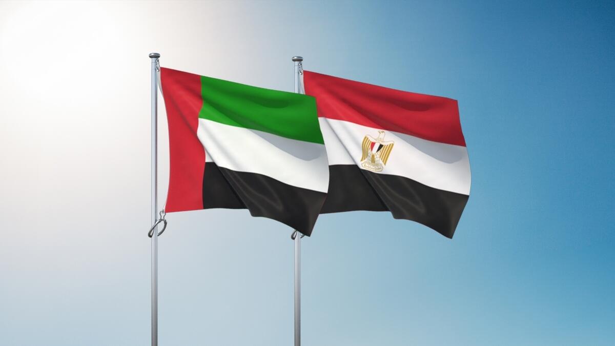 UAE, Egypt, welcome, Libyan, ceasefire, talks, peace, stability