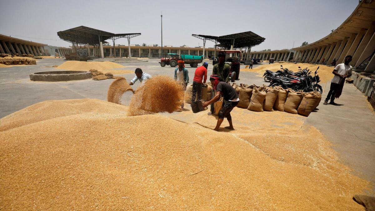 Workers fill sacks with wheat at a market yard in  Ahmedabad, India. — Reuters