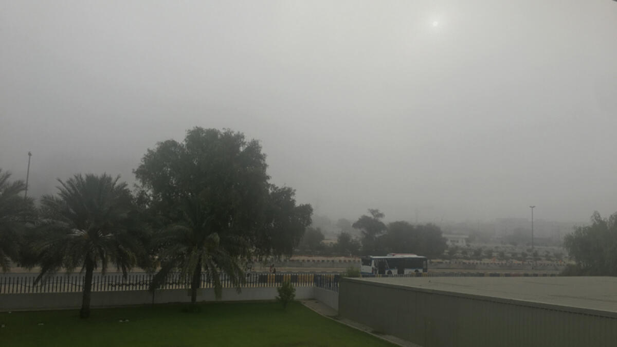 Foggy Dubai morning dazzles residents