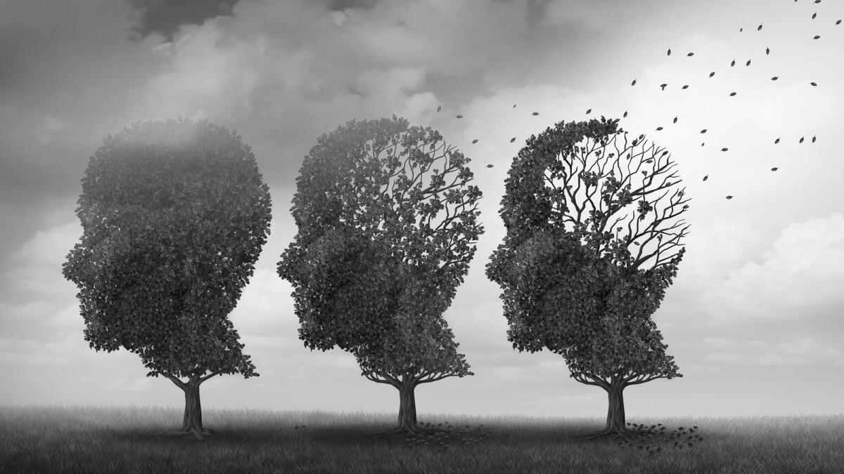 Concept of memory loss and brain aging due to dementia and Alzheimer's disease as a medical icon with fall trees shaped as a human head.