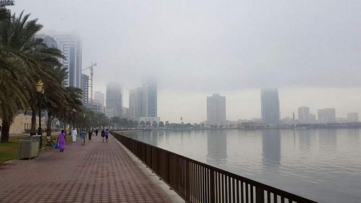 UAE weather: Heavy fog results in low visibility, humidity to touch 95%