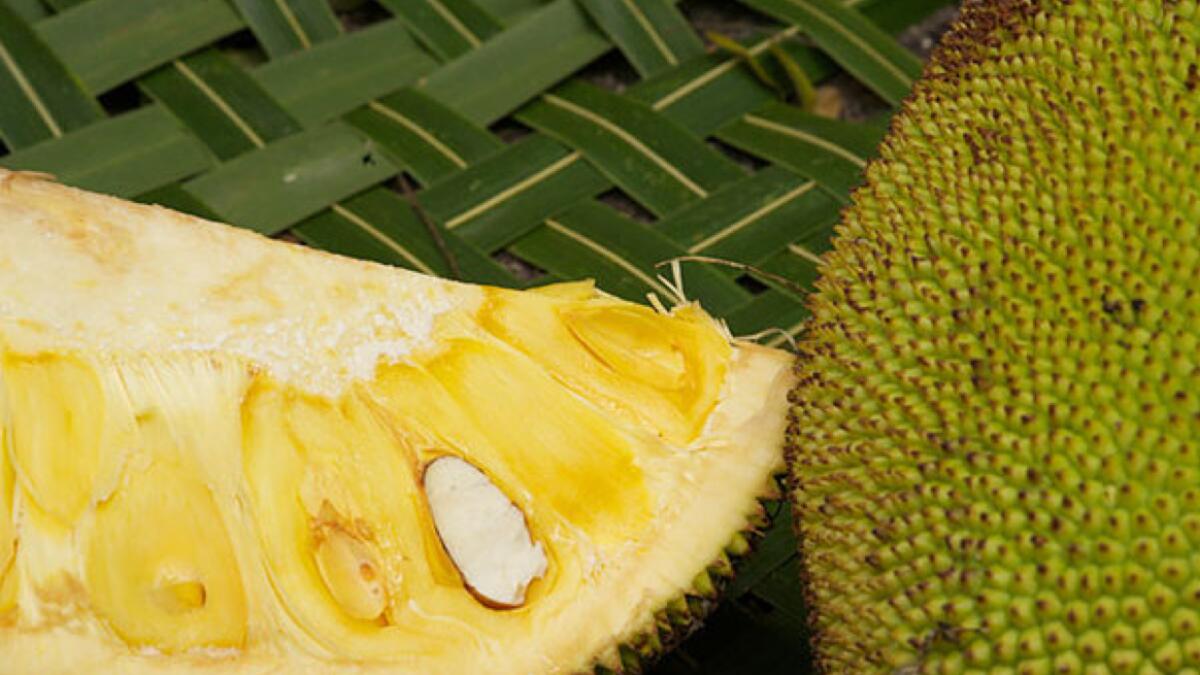 Heres why jackfruit is now Keralas official fruit