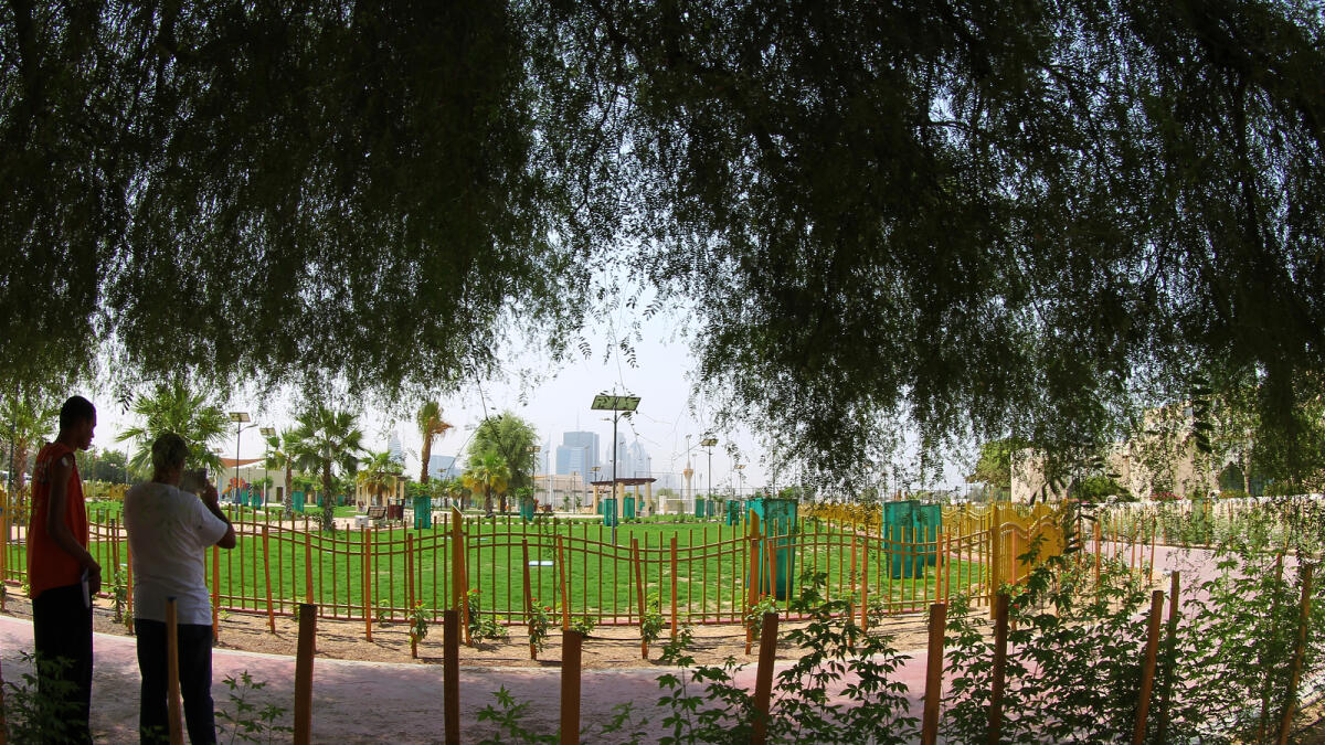 A view of Mankhool Park in Dubai.- Photos by Kiran Prasad/ Khaleej Times
