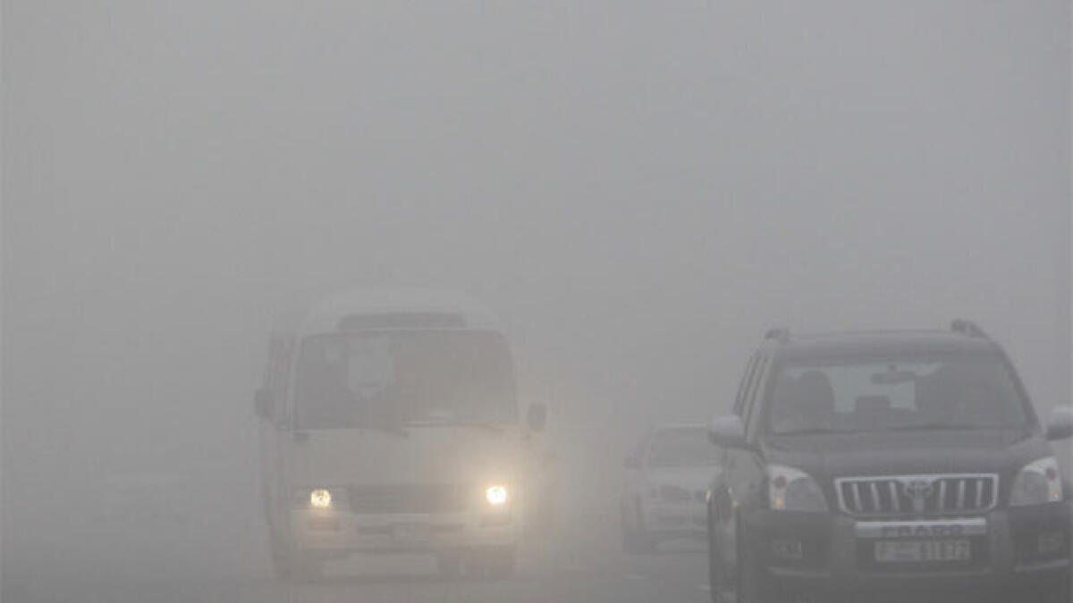 20 flights cancelled due to fog