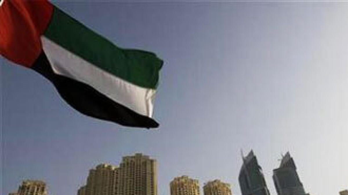 UN Arab Group backs UAE