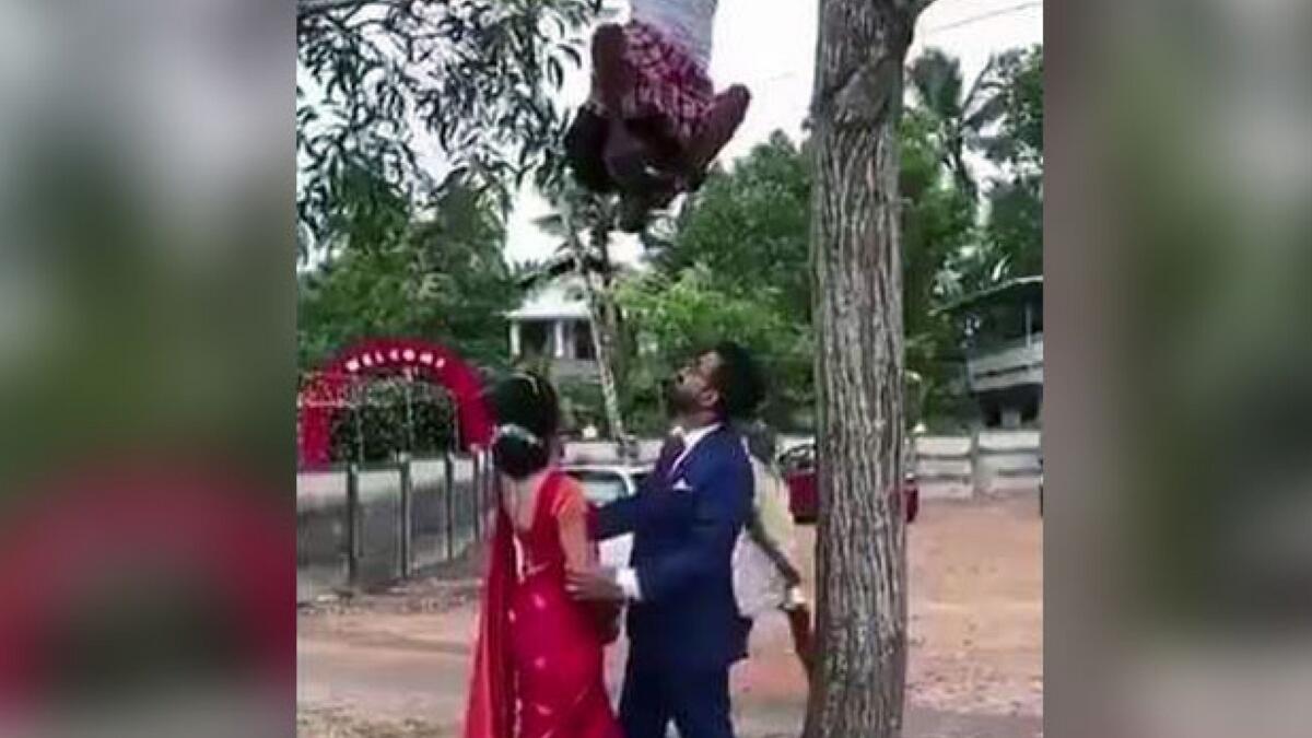 Video: Wedding photographer hangs from tree to click pictures