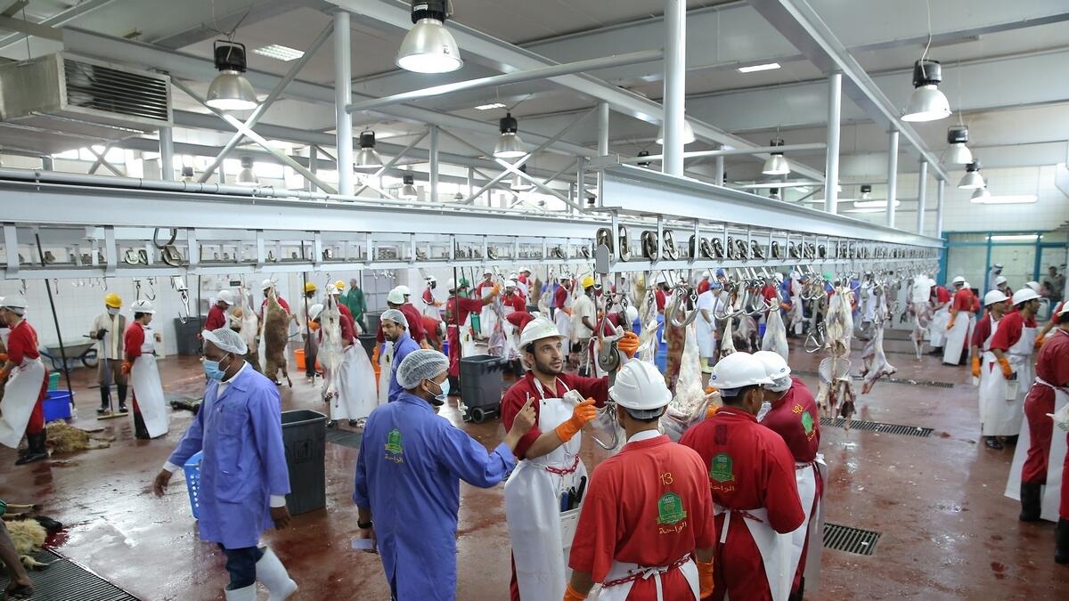 Abu Dhabi announces slaughterhouse timings for Ramadan