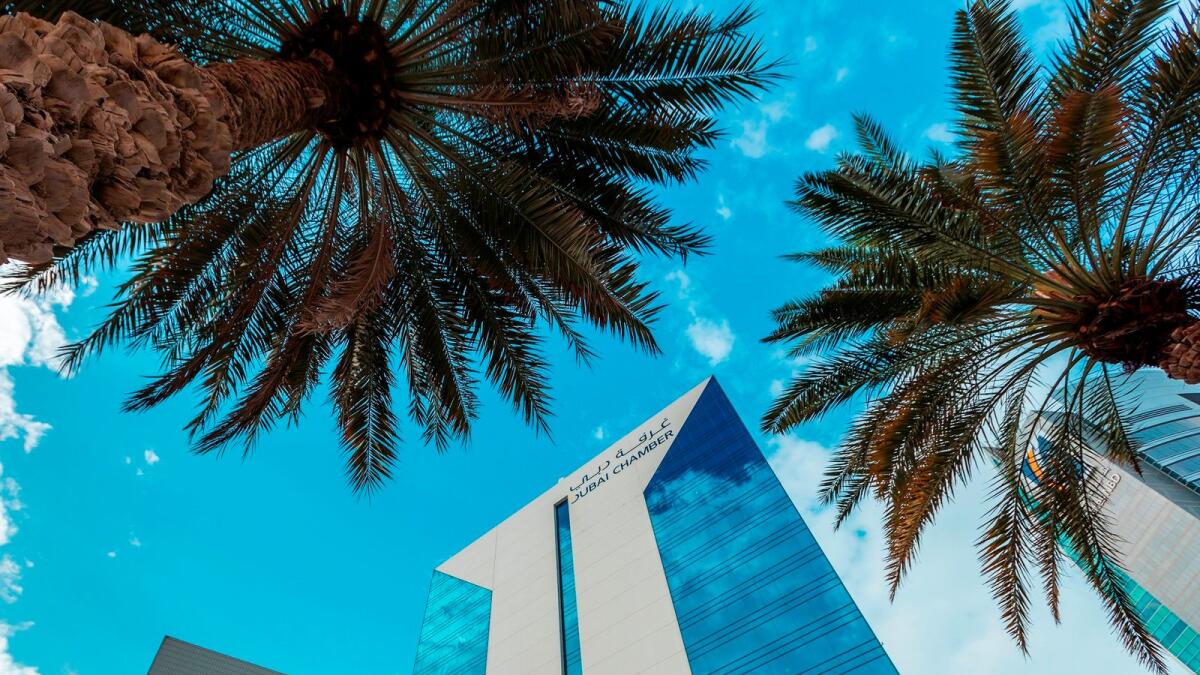 The Dubai Chamber of Digital Economy is tasked with transforming Dubai into an international technology hub and building an advanced digital infrastructure.
