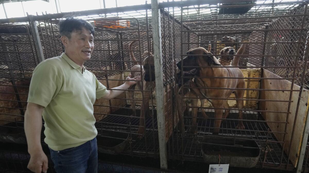 Kim Jong-kil speaks at his dog farm in Pyeongtaek. — AP