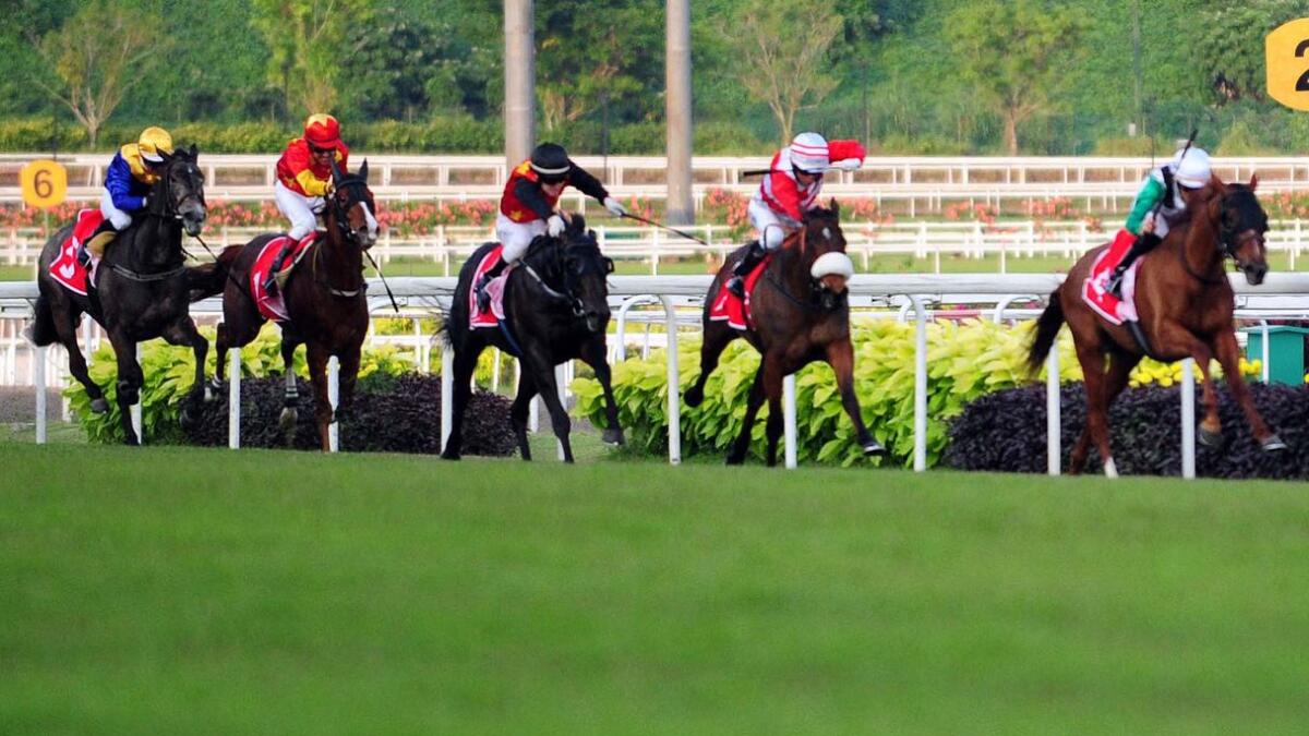 Horses compete at Kranji racecourse in Singapore. - AFP