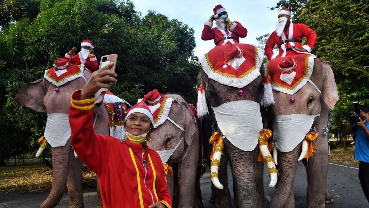 Elephants from the Ayutthaya Elephant Palace, dressed in Santa Claus costumes and wearing face masks, pose for photos ahead of event to hand out face masks to students outside the Jirasat Wittaya School in the central Thai province of Ayutthaya on December 23, 2020.