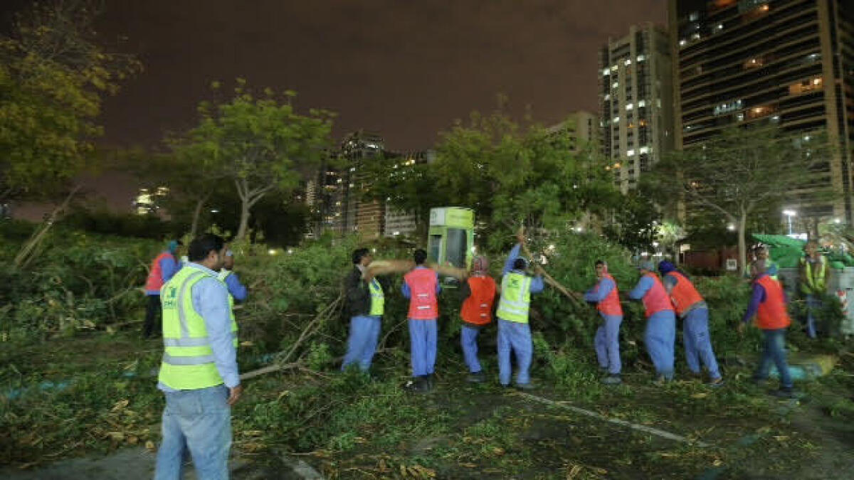 Abu Dhabi receives 836 cases of damage post thunderstorm 