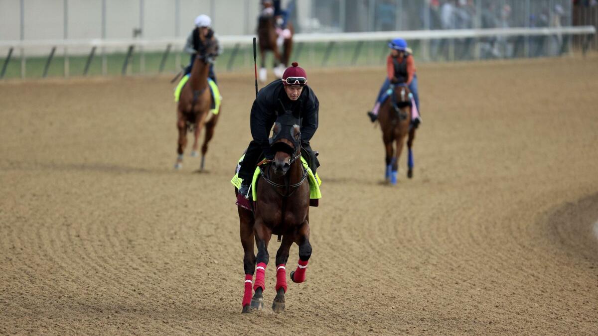 Summer Is Tomorrow during the morning training session ahead of the Kentucky Derby at Churchill Downs in Louisville, Kentucky. (AFP)