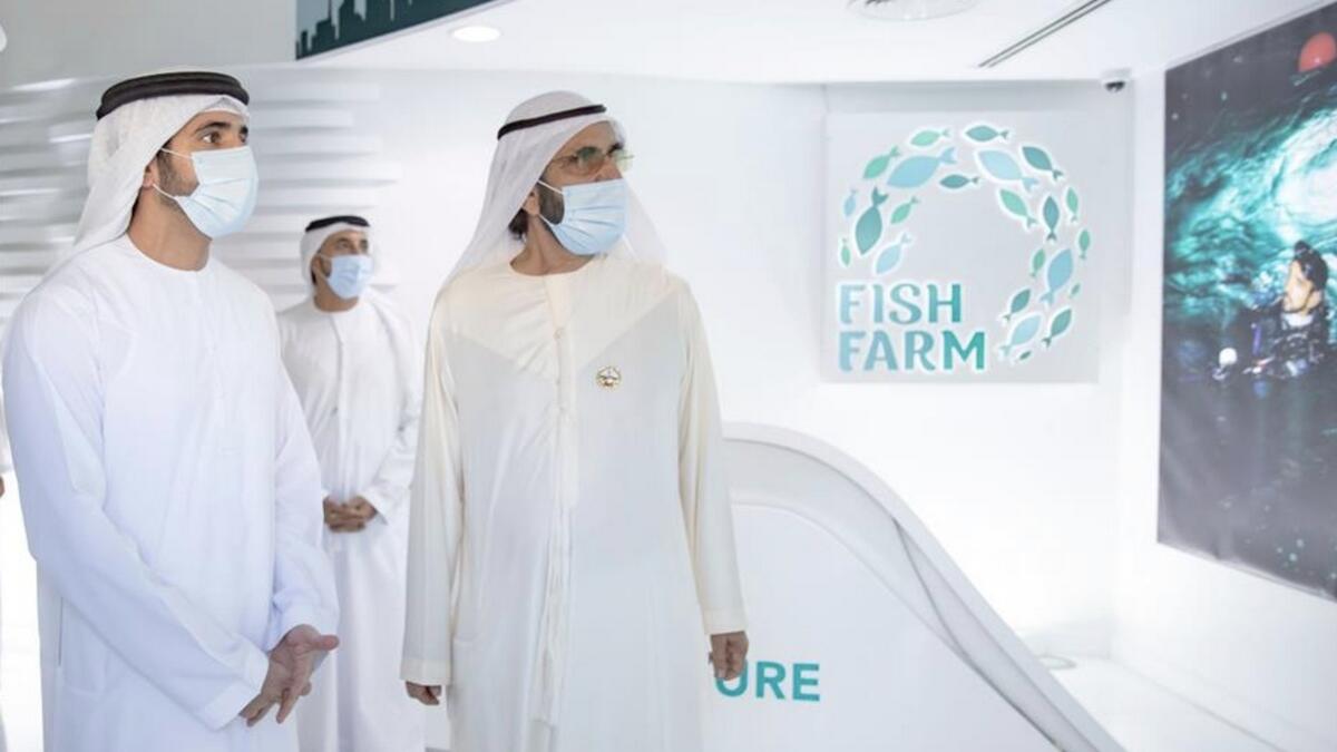 Video, Sheikh Mohammed, visits, fish farm, Dubai