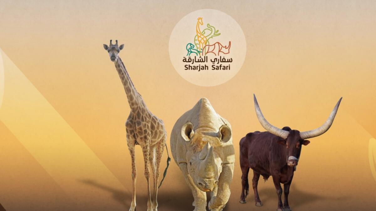 Photo: Twitter/Sharjah Safari