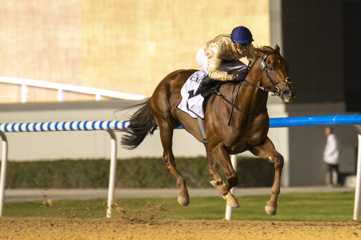 Algiers was imposing winner of the opening two legs of the Al Maktoum Challenge  this year. — KT file