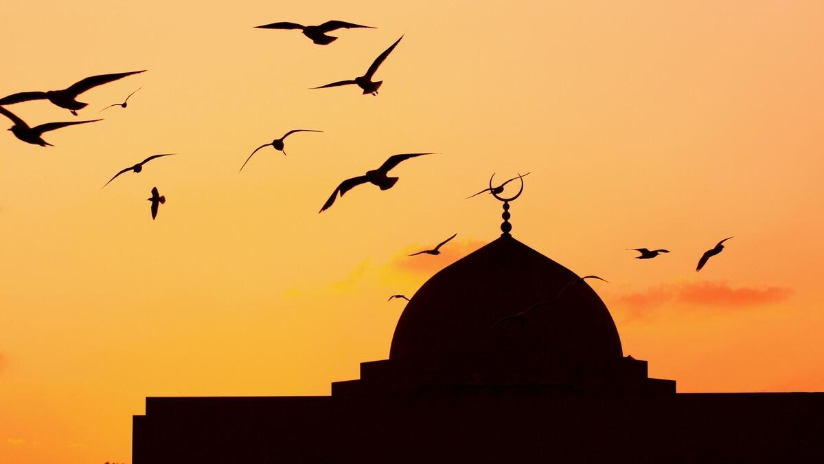 mosques, abu dhabi, al ain, al dhafra