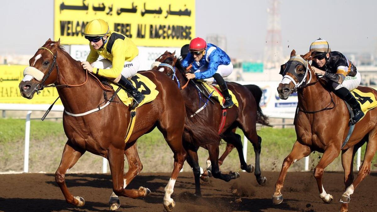 UAE horse racing season kicks off on Friday  