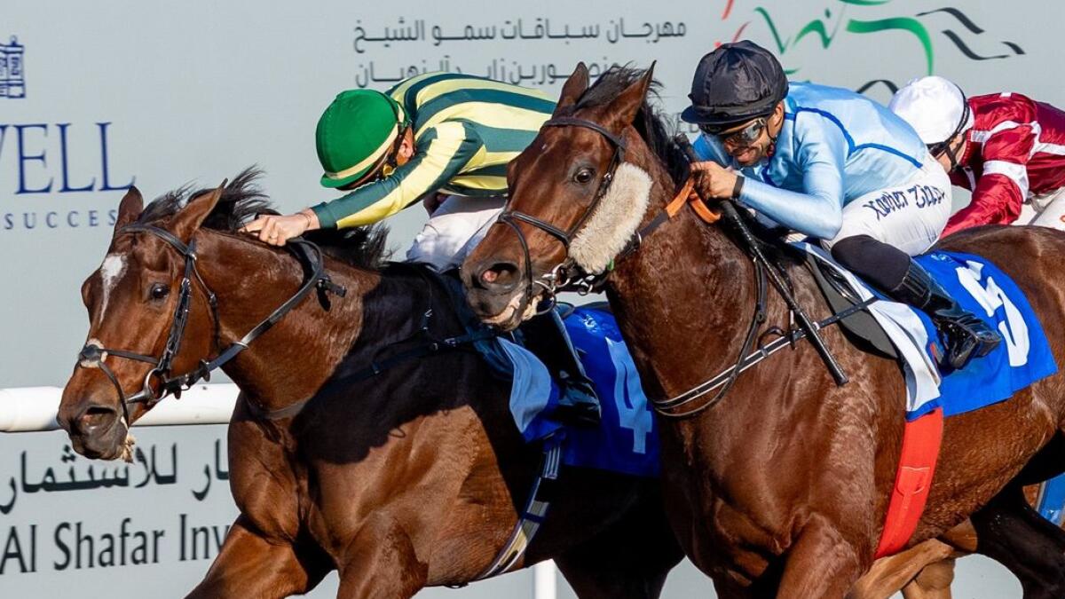 Swing Vote (R) wins the 2024 Cup Sponsored by Shadwell at Jebel Ali Racecourse. - Photo Adiyuat Racing Plus X