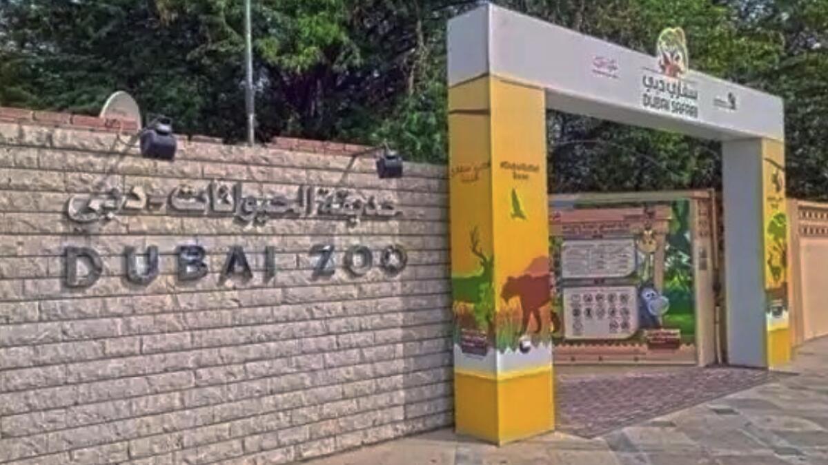 Dubai Municipality to close Jumeirah Zoo in November