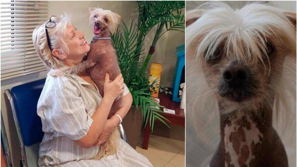 Dubai expat reunited with lost dog after 4 years 