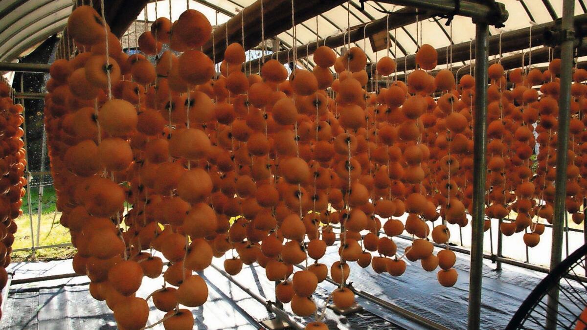 The Pride of Fukushima — Anpogaki or Persimmons — has earned quite a reputation for its unique taste and texture as well as its cultivation as per safety standards. All the fruits out of Fukushima are labelled under NDT standards and undergo strict vigilance.