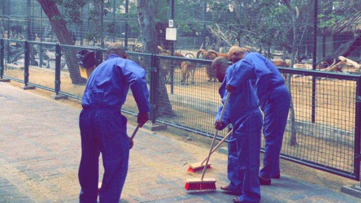 Man who fed cat to dogs ordered to clean Dubai Zoo