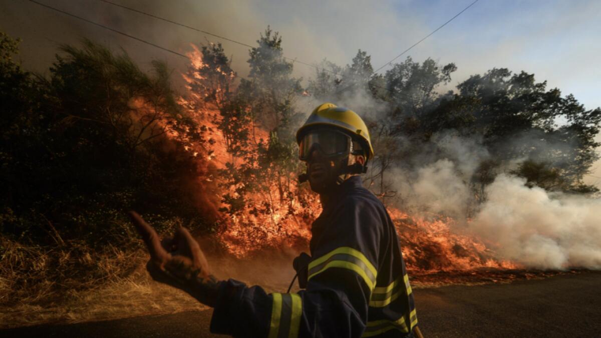 A firefighter reacts as a fire squad tries to extinguish a wildfire in the village of San Cristobal near Monterrey. Photo: AFP