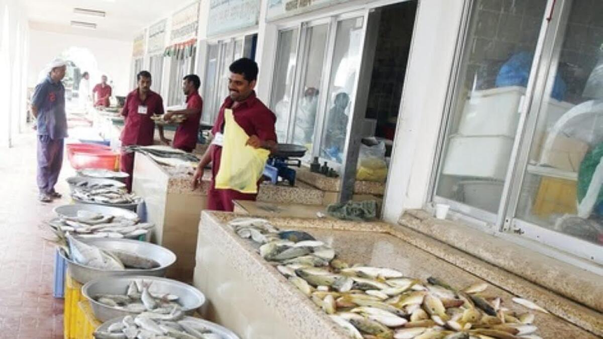 The prices will mostly go normal by the end of this month, after the ban for collecting Sheri and Safi fish is lifted