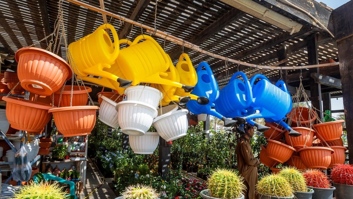PLANT THEM YOUR WAY... The nursery market in Souq Al Zafarana has a variety of plant attractions for sale